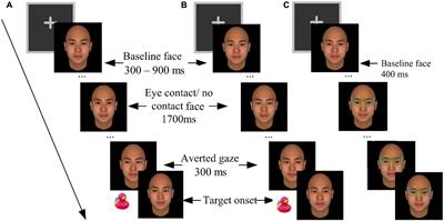 eye contact frontiersin gaze psychology contingent awareness visual effect